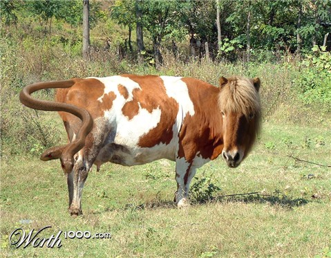 Photoshop Design by ArtOfMusic