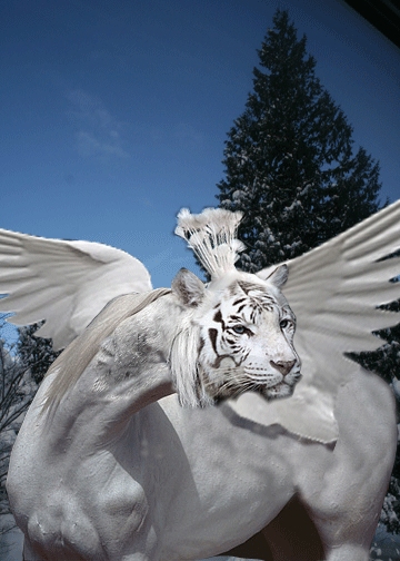 Photoshop-Design von wiredpony für DesignCrowd (Community Contests) | Design #8986288