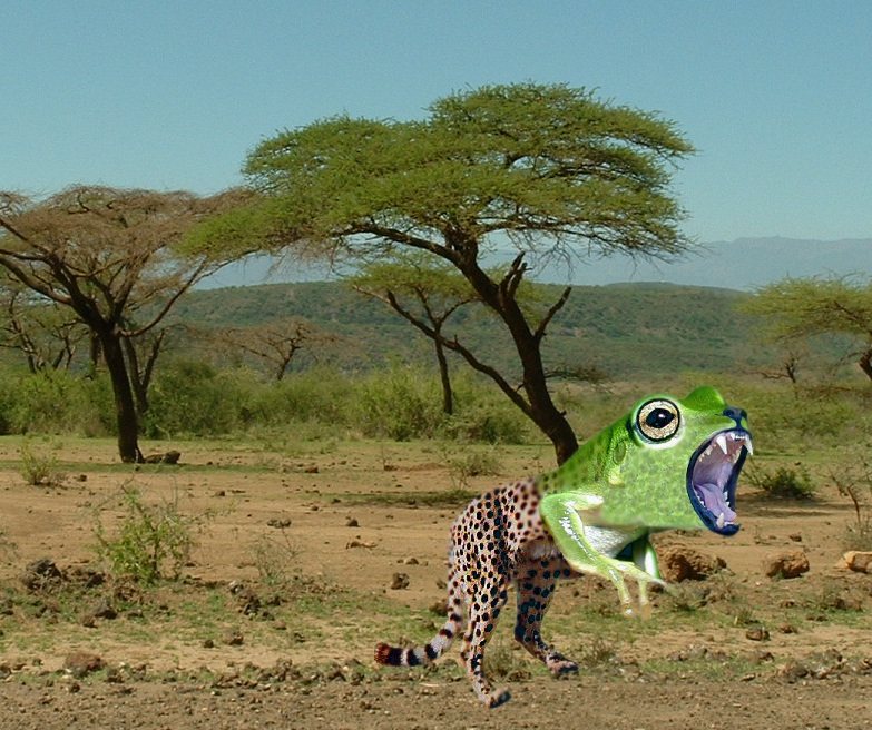 Photoshop Design by dinosaur for DesignCrowd (Community Contests) | Design #8986302