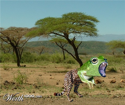 Photoshop Design by dinosaur