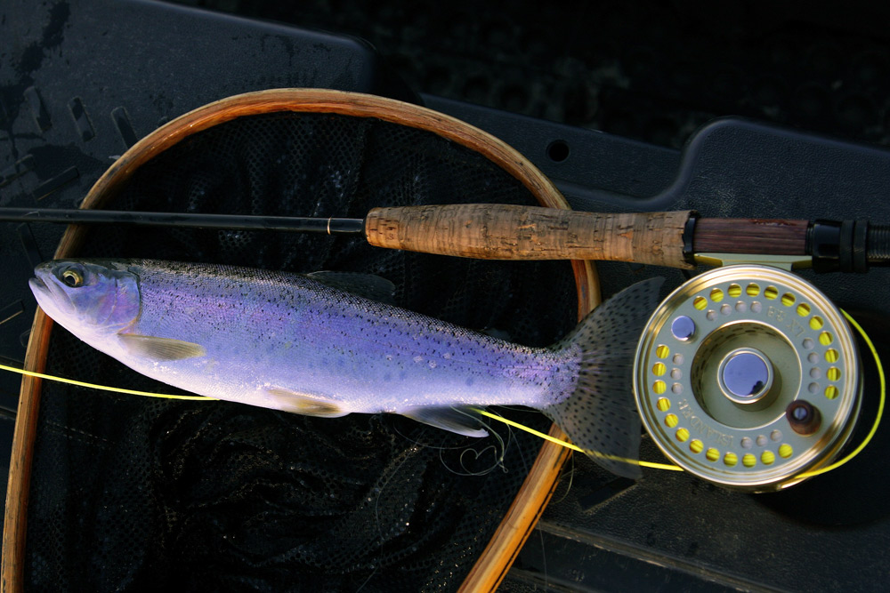 Photography by whlutz for DesignCrowd (Community Contests) | Design #8989222