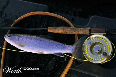 Photography by whlutz