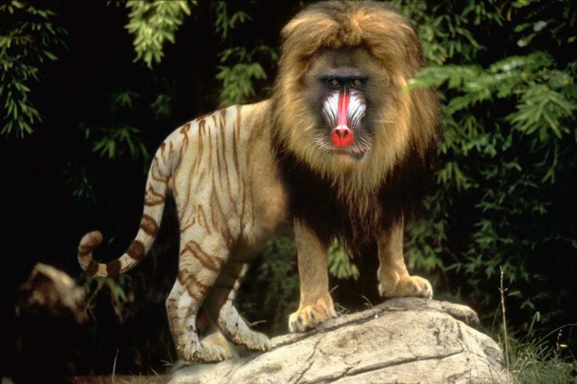 Photoshop Design by raginiroshni for DesignCrowd (Community Contests) | Design #8986280