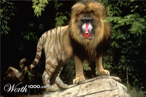 Photoshop Design by raginiroshni