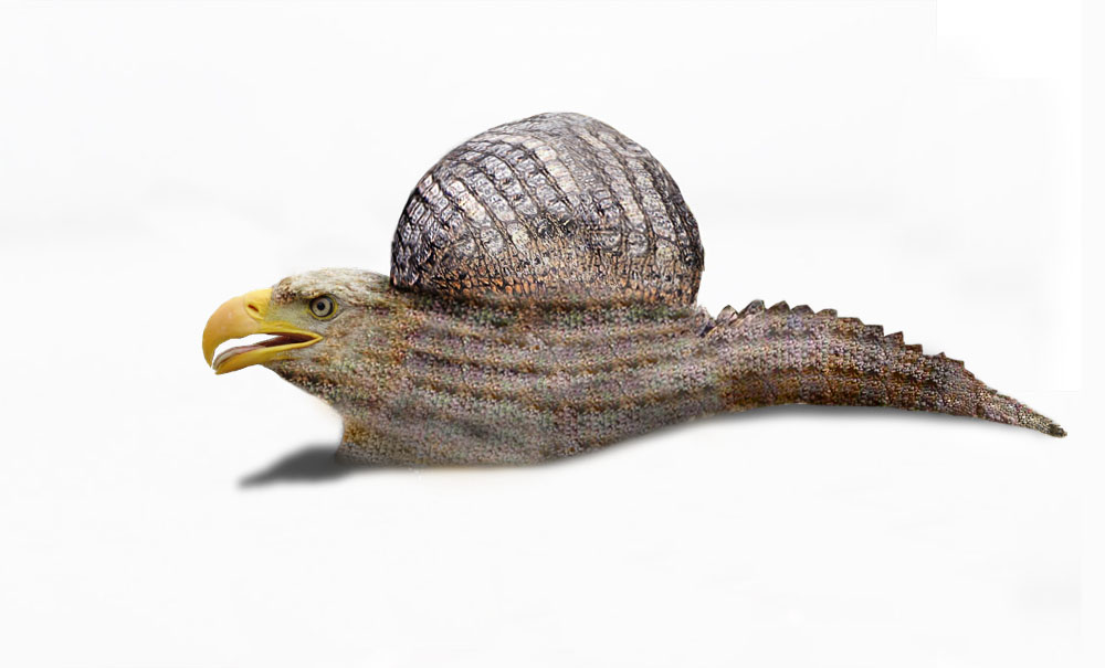 Photoshop Design by Tinkuuu for DesignCrowd (Community Contests) | Design #8986279