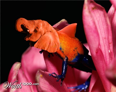 Photoshop Design by Girzone