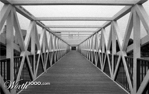 Photography by dragonwolf125