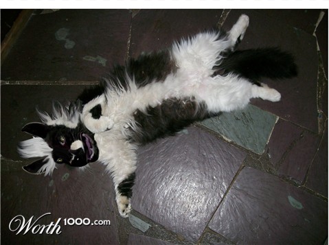 Photoshop Design by kathiess