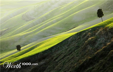 Photography by toscio