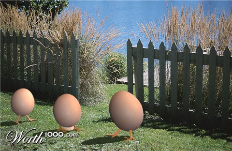 Photoshop Design by bicyclewilli