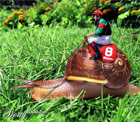 Photoshop Design by Kingslip