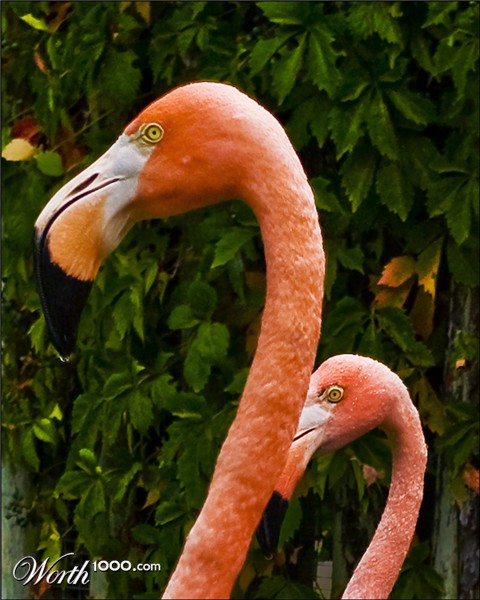 Photography by GoldenWreckedAngle