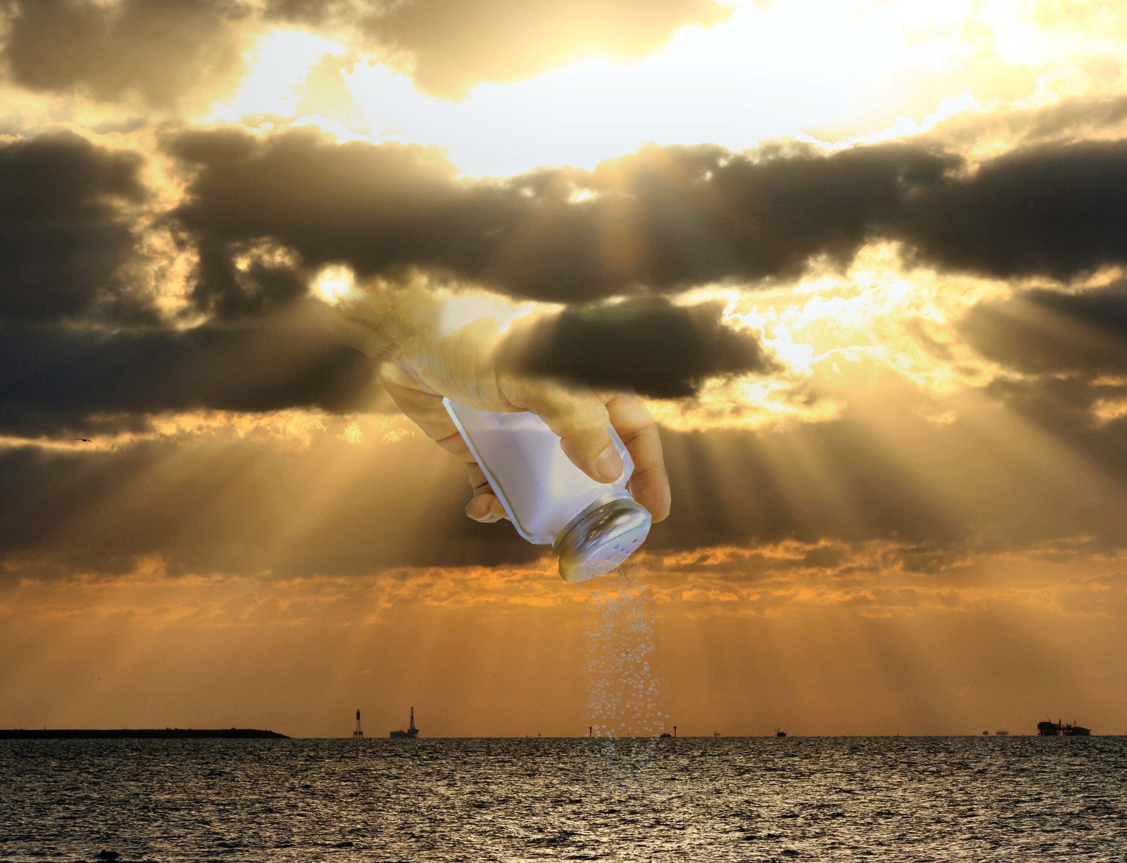 Photoshop Design by Darkwoman for DesignCrowd (Community Contests) | Design #8988187