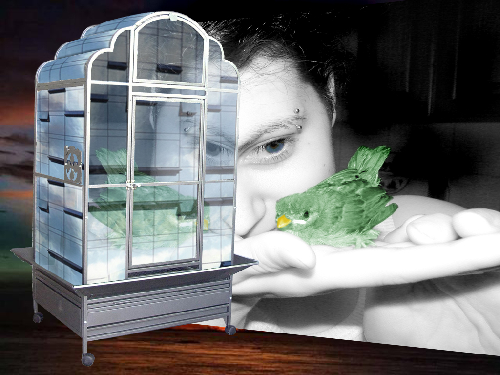 Photoshop Design by Sankrah for DesignCrowd (Community Contests) | Design #8986339