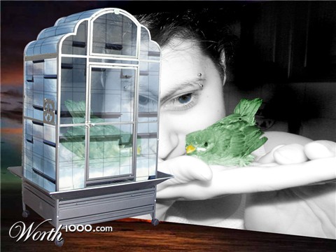 Photoshop Design by Sankrah