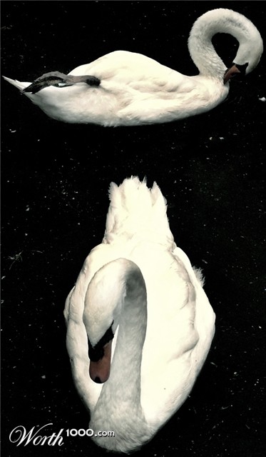 Photography by AsierReisa