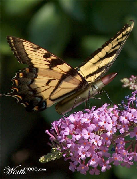 Photoshop Design by dontago