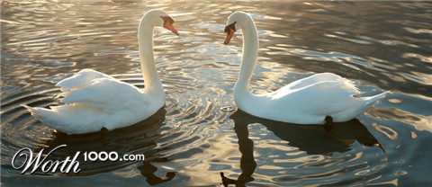 Photography by ShereenM