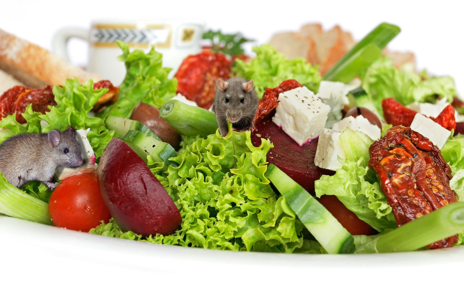 Diseño de Photoshop por mandyshadows para DesignCrowd (Community Contests) | Diseño #8986378