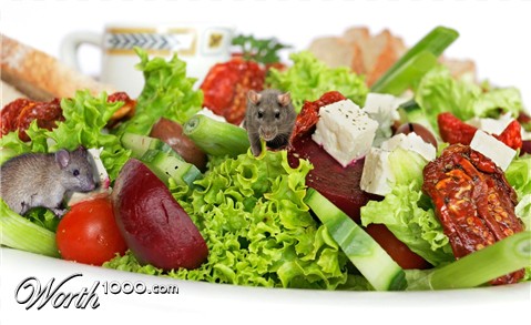 Photoshop Design by mandyshadows