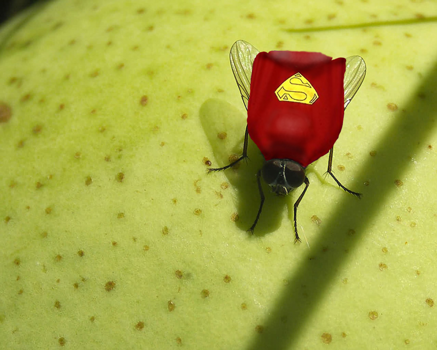 Photoshop Design by robotlick for DesignCrowd (Community Contests) | Design #8986394