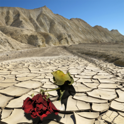 Design Photoshop par ellall pour DesignCrowd (Community Contests) | Design #8986363