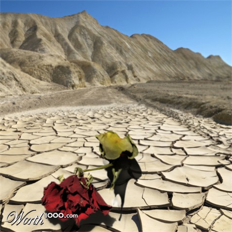 Photoshop Design by ellall