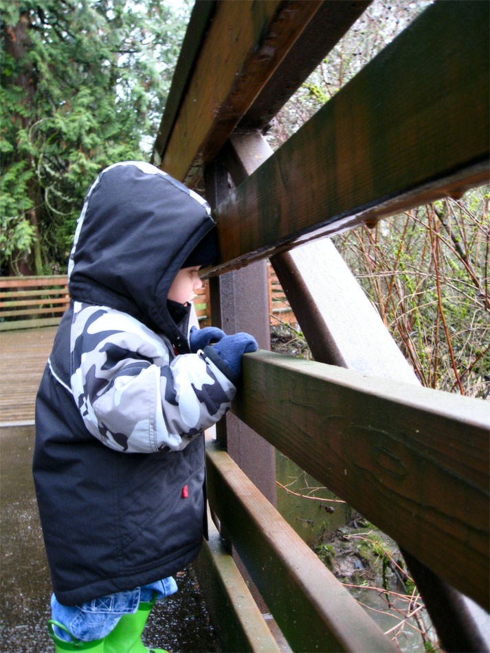 Fotografía por KingsHockeyFan1 para DesignCrowd (Community Contests) | Diseño #8989625