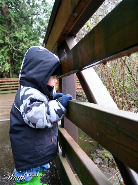 Photography by KingsHockeyFan1