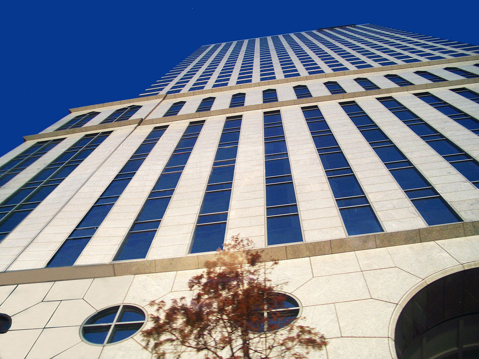 Photography by pinkfly for DesignCrowd (Community Contests) | Design #8989704