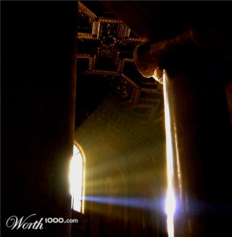 Photography by charizz