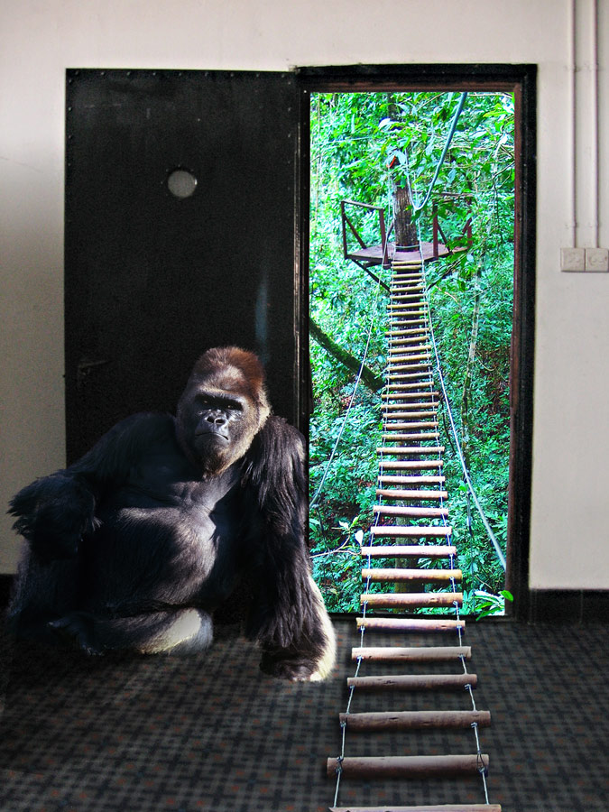 Diseño de Photoshop por Boomshanka para DesignCrowd (Community Contests) | Diseño #8988856