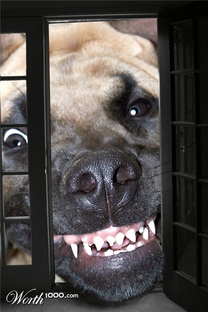 Photoshop Design by starrwalker