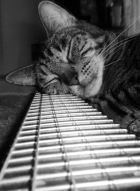 Photographie par Feature pour DesignCrowd (Community Contests) | Design #8989662