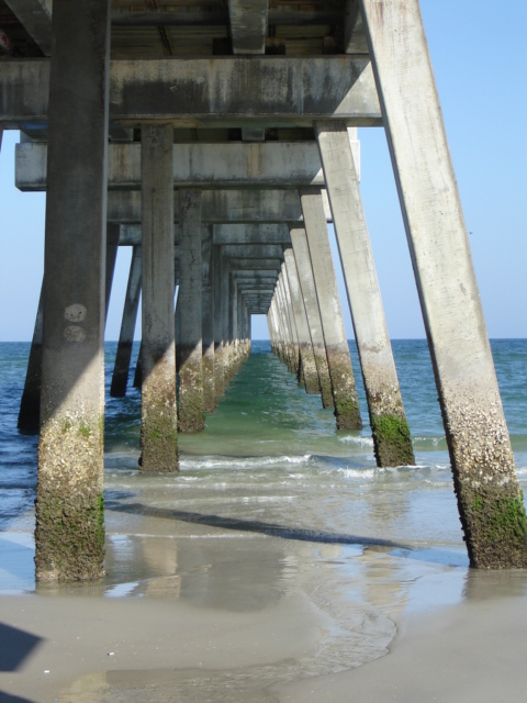 Photography by greenmonstertom for DesignCrowd (Community Contests) | Design #8989713