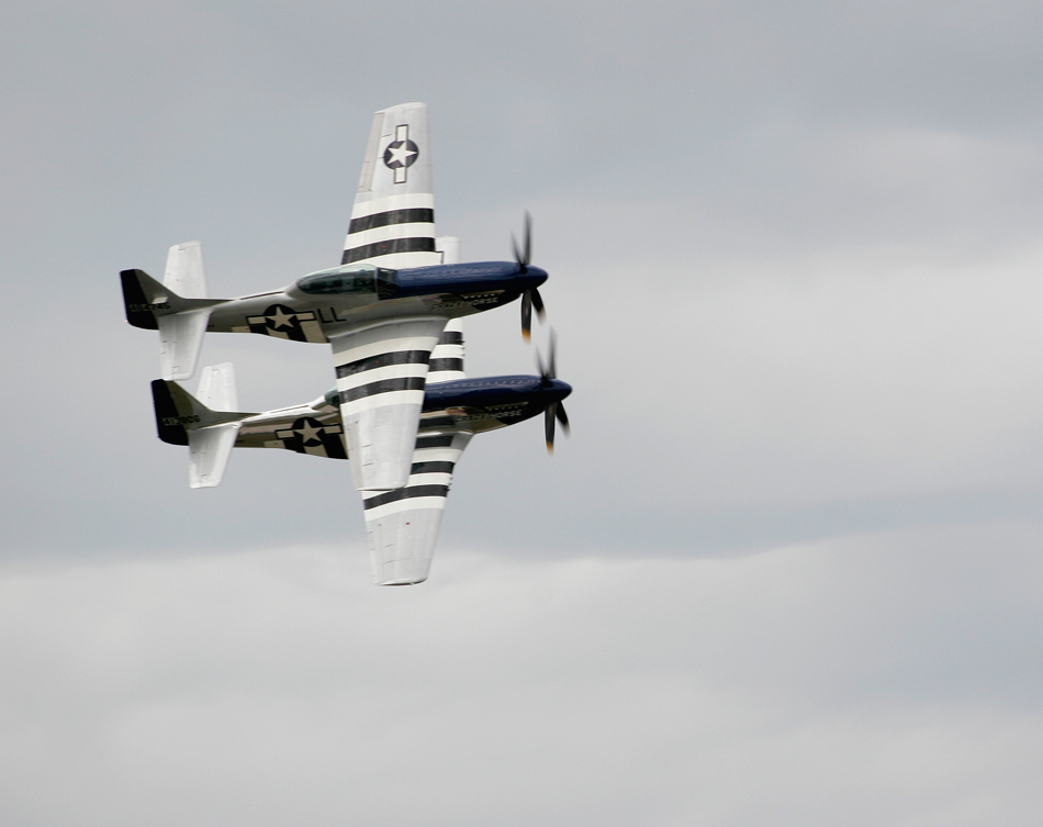 Fotografía por pinkfly para DesignCrowd (Community Contests) | Diseño #8983190