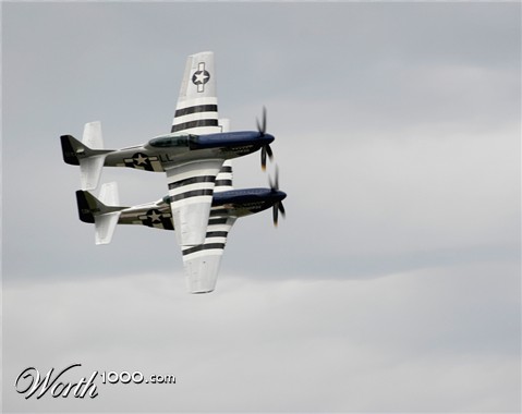 Photography by pinkfly