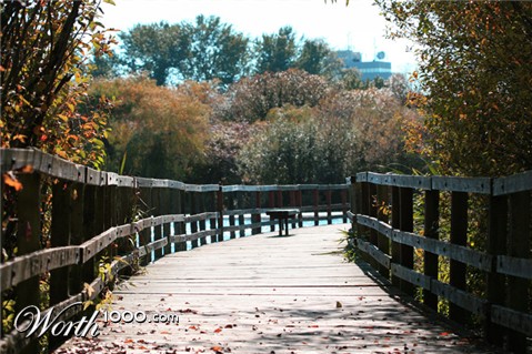 Photography by ShereenM