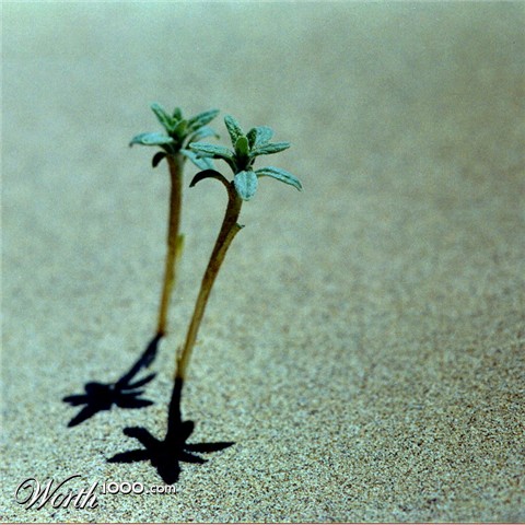Photography by Inquisitive