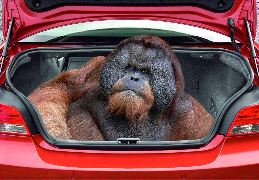 Design Photoshop par YearoftheDragon pour DesignCrowd (Community Contests) | Design #8988937