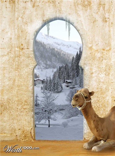 Photoshop Design by luise1