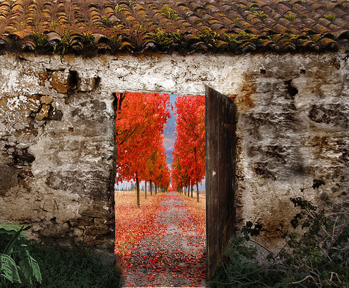 Photoshop Design by Leoninus19 for DesignCrowd (Community Contests) | Design #8988934