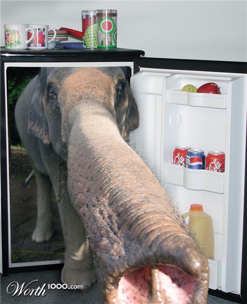 Photoshop Design by Sankrah