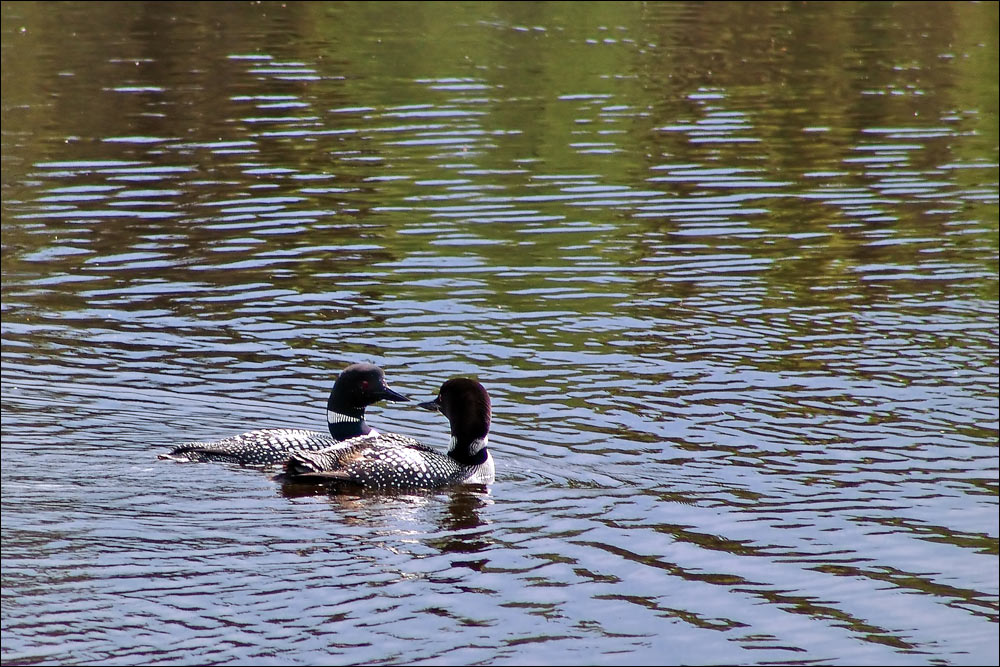 Photography by whlutz for DesignCrowd (Community Contests) | Design #8983181