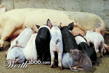 Photoshop Design by BlueHeron