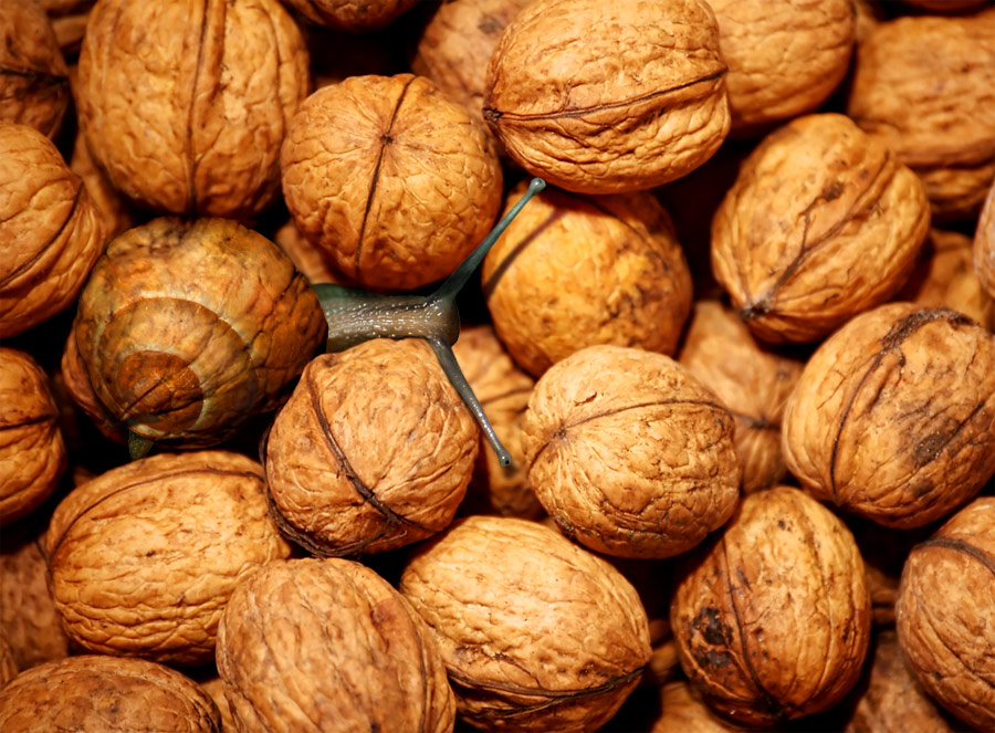 Photoshop-Design von ManoleJr für DesignCrowd (Community Contests) | Design #8991102