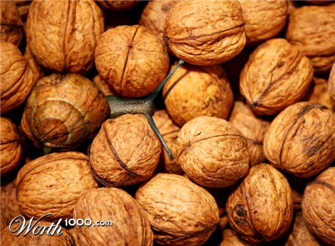 Photoshop Design by ManoleJr