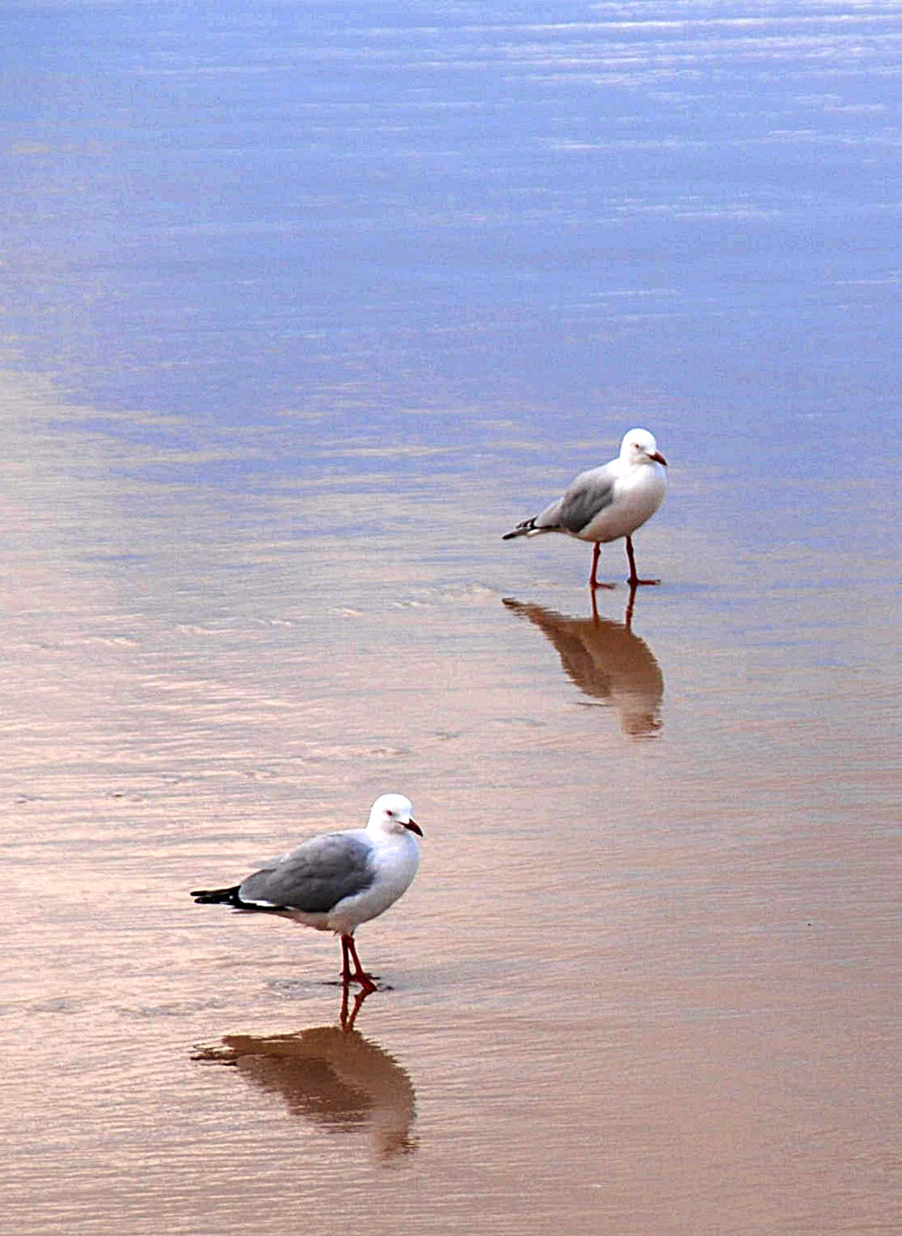 Photography by gymp93 for DesignCrowd (Community Contests) | Design #8983185