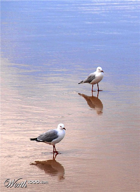 Photography by gymp93