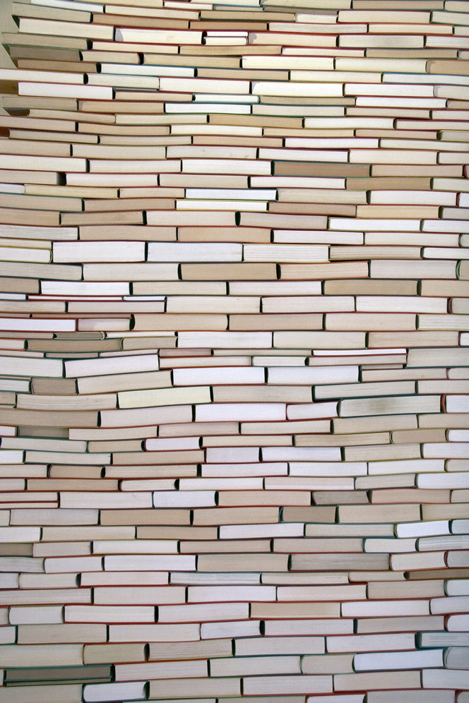 Photography by amiriuzo for DesignCrowd (Community Contests) | Design #8983700